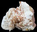 Red Vanadinite Crystals on Pink Bladed Barite - Morocco #57251-1